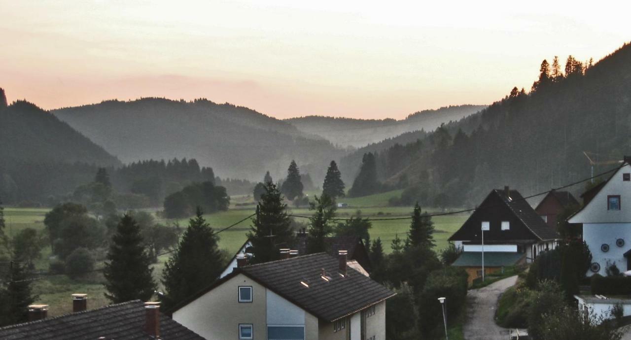 Urseetalblick Apartman Lenzkirch Kültér fotó